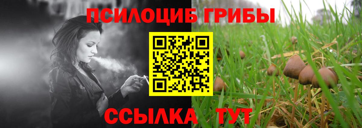 Галлюциногенные грибы Psilocybine cubensis  Галлюциногенные грибы мухоморы  Норильск  Вход с VPN 